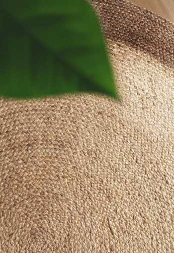 [106224_mil2_1770820954.jpg]