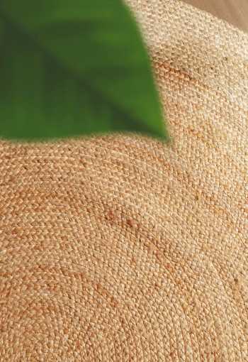 [106226_mil2_1770821478.jpg]