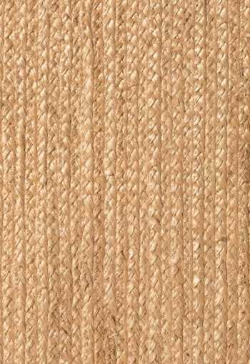 [106005_zoom_oval_1771509878.jpg]