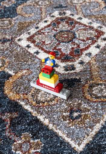 [kusovy-koberec-darly-80-yr9c-2_1774453830.jpg]