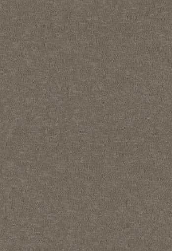 [metrazny-koberec-terra-42-hpc_1776693192.jpg]