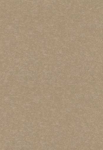 [metrazny-koberec-terra-52-hpc_1776693192.jpg]