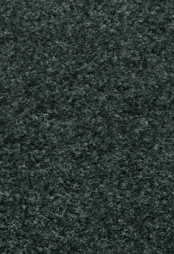 [olive-672-3-.jpg]