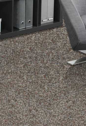 [new-orleans-chevreuil-760-1c..jpg]