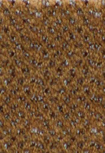 [verona-cammello2406.jpg]