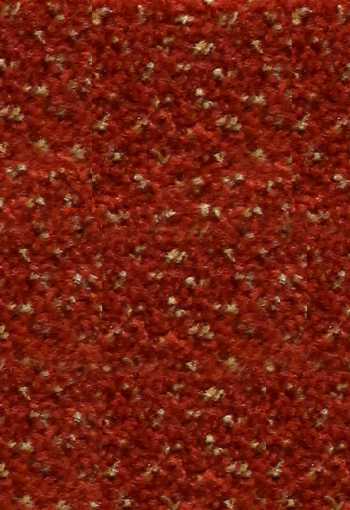 [verona-cotto2102.jpg]