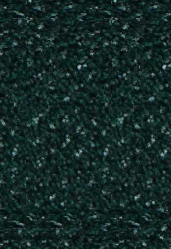 [verona-foresta9705.jpg]