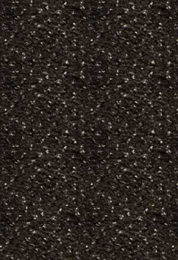 [verona-grillo308c.jpg]