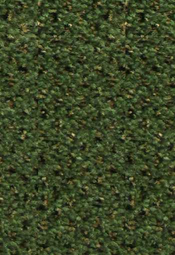 [verona-oliva2418.jpg]