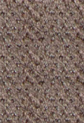 [verona-tortora9711.jpg]