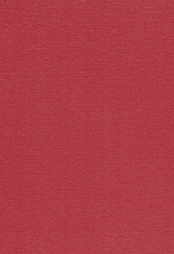 [koberec_altona_12.jpg]