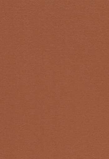 [koberec_altona_256.jpg]