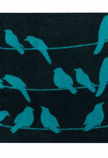 [birds-2_1.jpg]
