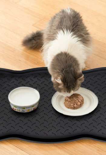 [rohoz_topanky_4.jpg]