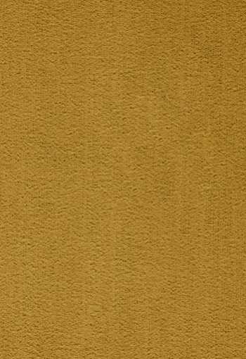 [koberec_prominent_153.jpg]