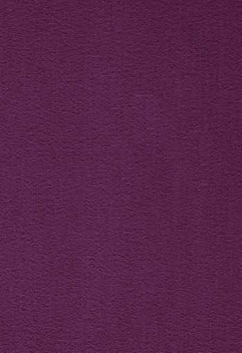 [koberec_prominent_18.jpg]