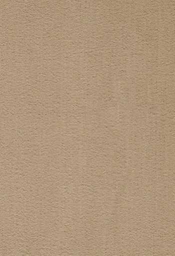 [koberec_prominent_37.jpg]