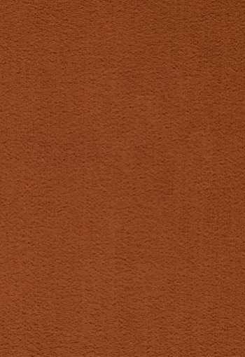 [koberec_prominent_64.jpg]