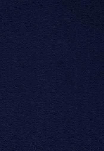 [koberec_prominent_78.jpg]