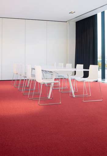 [koberec_evolve_01.jpg]