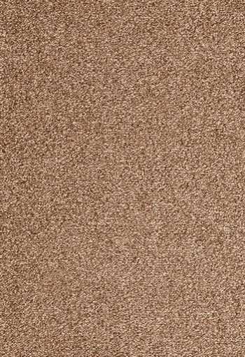 [koberec_evolve_43.jpg]