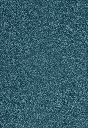 [koberec_evolve_72.jpg]