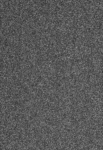 [koberec_evolve_98.jpg]