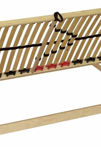 [rost-double_bv.jpg]