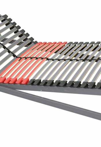 [rost-flex-expert-r6-2.jpg]