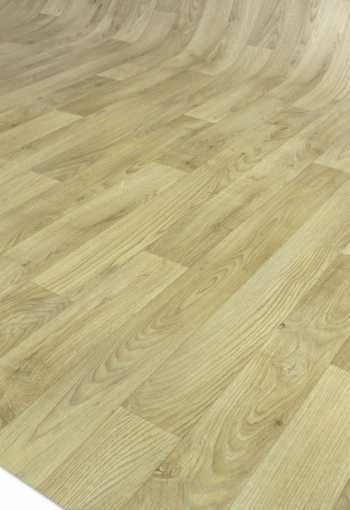 [rumba-latina-0005-05.jpg]