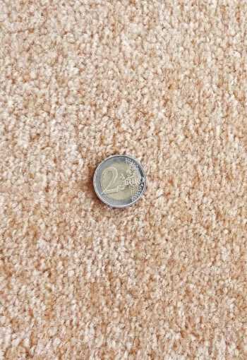 [koberec-dynasty-70-5.jpg]