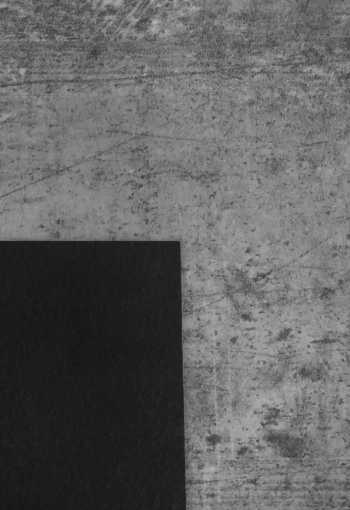 [pvc-blacktex-zinc-996d-3.jpg]