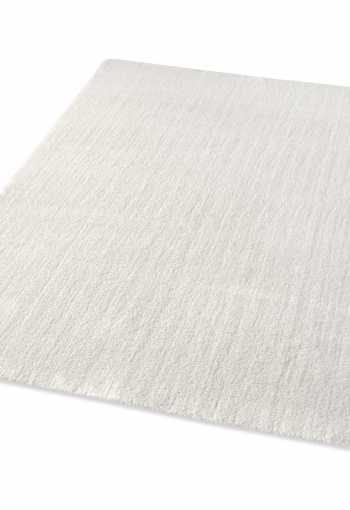 [labrador-71351-066-white-2.jpg]