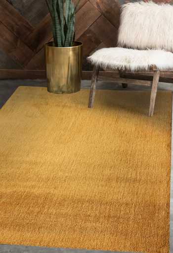 [labrador-71351-800-gold-1.jpg]