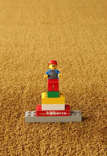 [labrador-71351-800-gold-6.jpg]