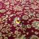 Kusový koberec Anatolia 5378 red
