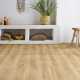 PVC EVOLUTION Maison 5