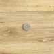 PVC ROYTEX - Lime Oak 263M