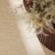 Kruhový kusový koberec Elle Decoration Puristic 106319 Light Beige