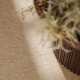 Kruhový kusový koberec Elle Decoration Puristic 106320 Beige