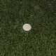 Umelá tráva DUNE