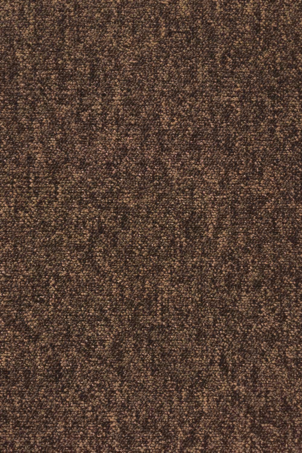 Metrážny koberec EXTREME 76