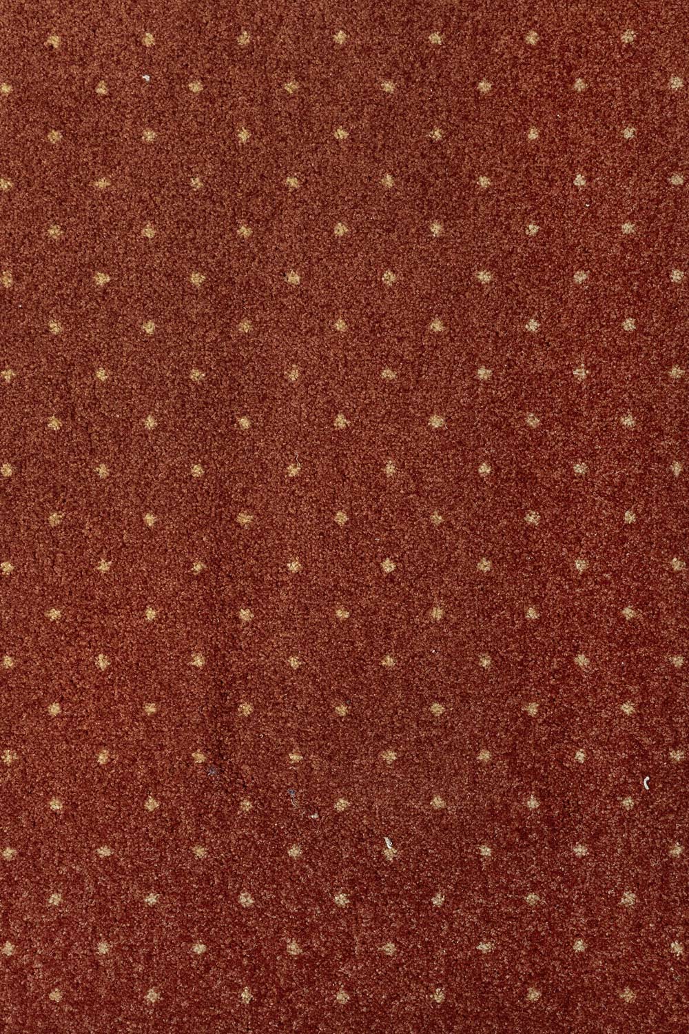 Metrážny koberec AKZENTO NEW 65 400 cm