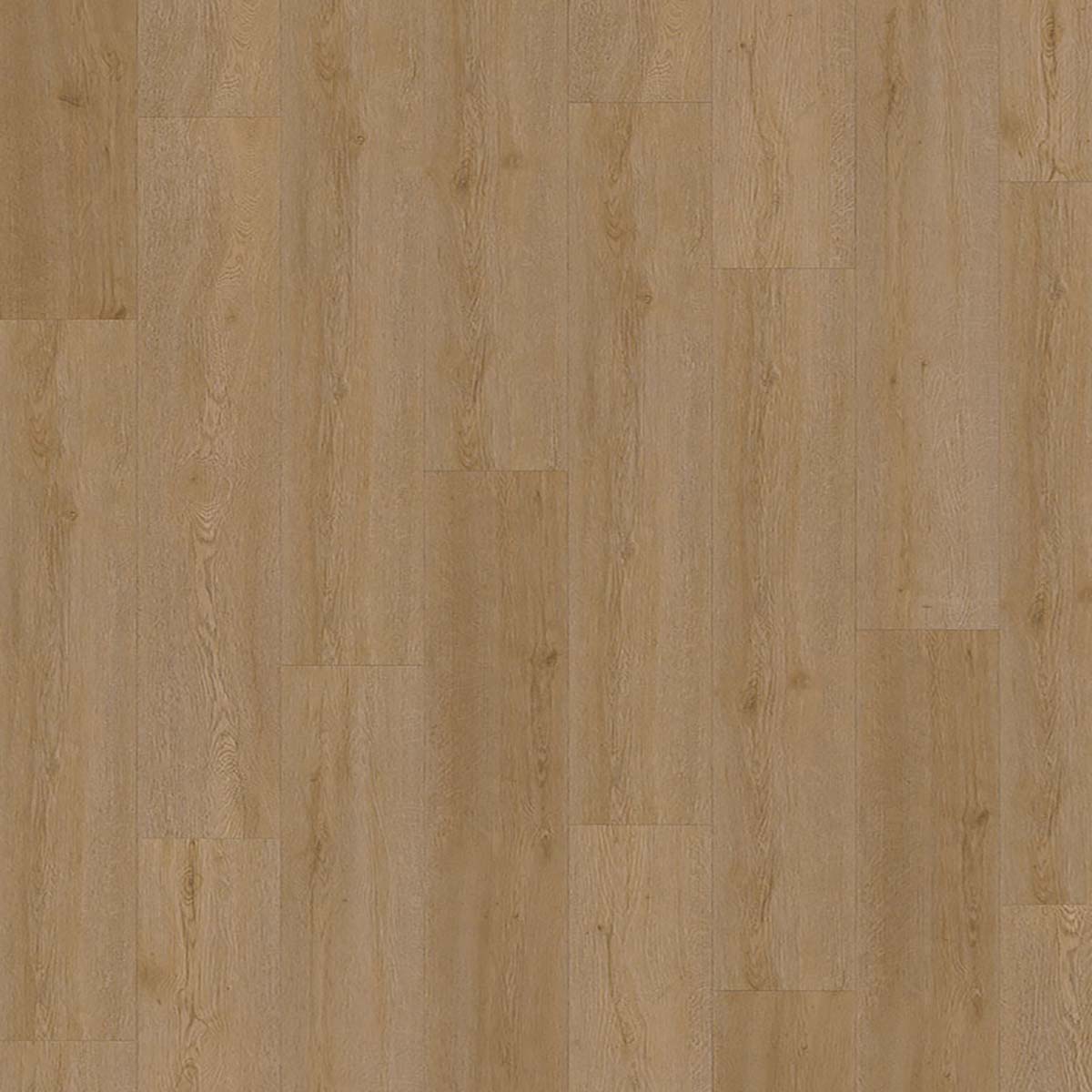 Kompozitná podlaha CHECK One Standard Plank 2465